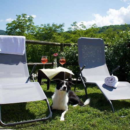 Agriturismo Monte Del Re San Pietro al Natisone Εξωτερικό φωτογραφία