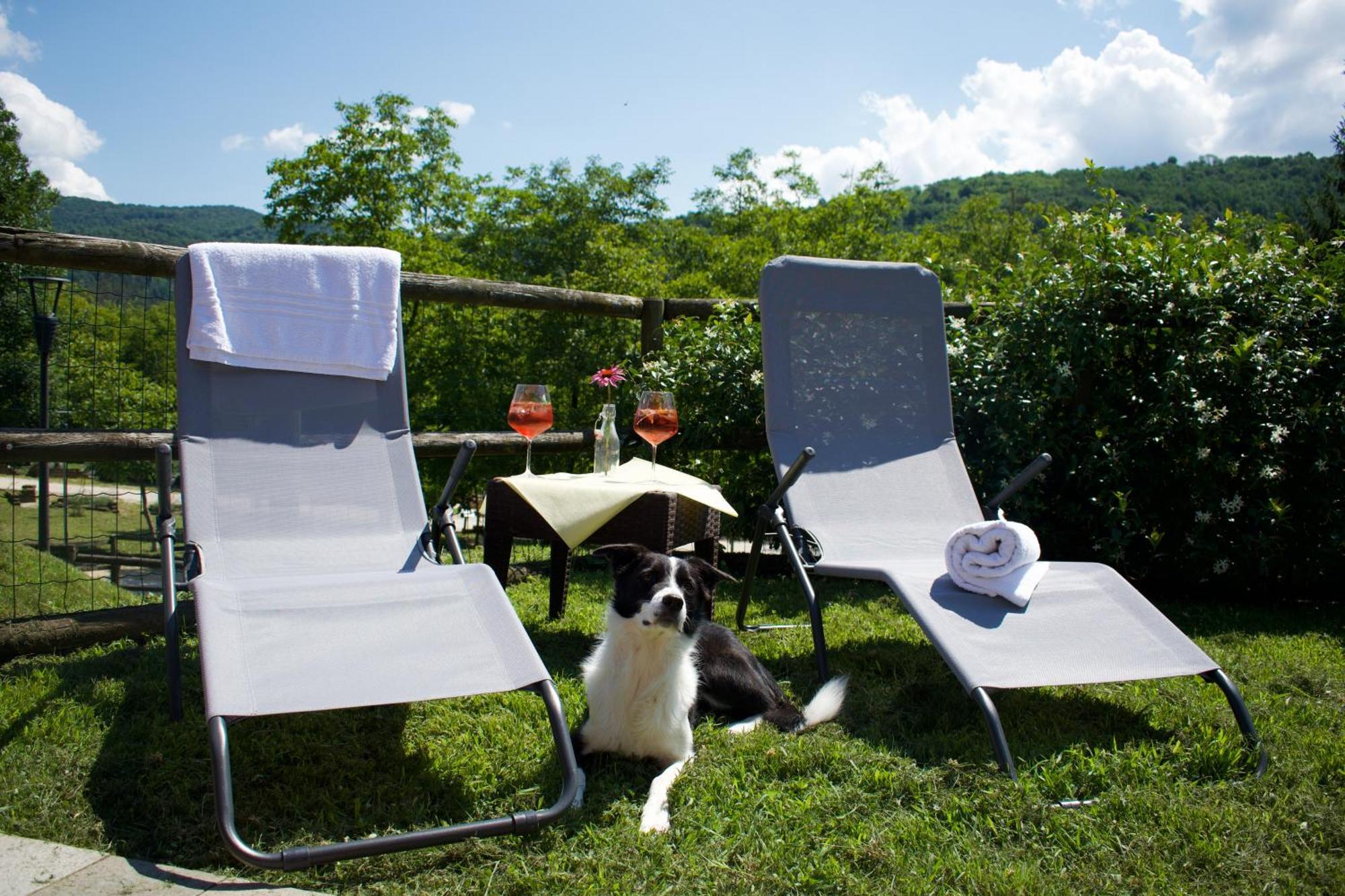 Agriturismo Monte Del Re San Pietro al Natisone Εξωτερικό φωτογραφία