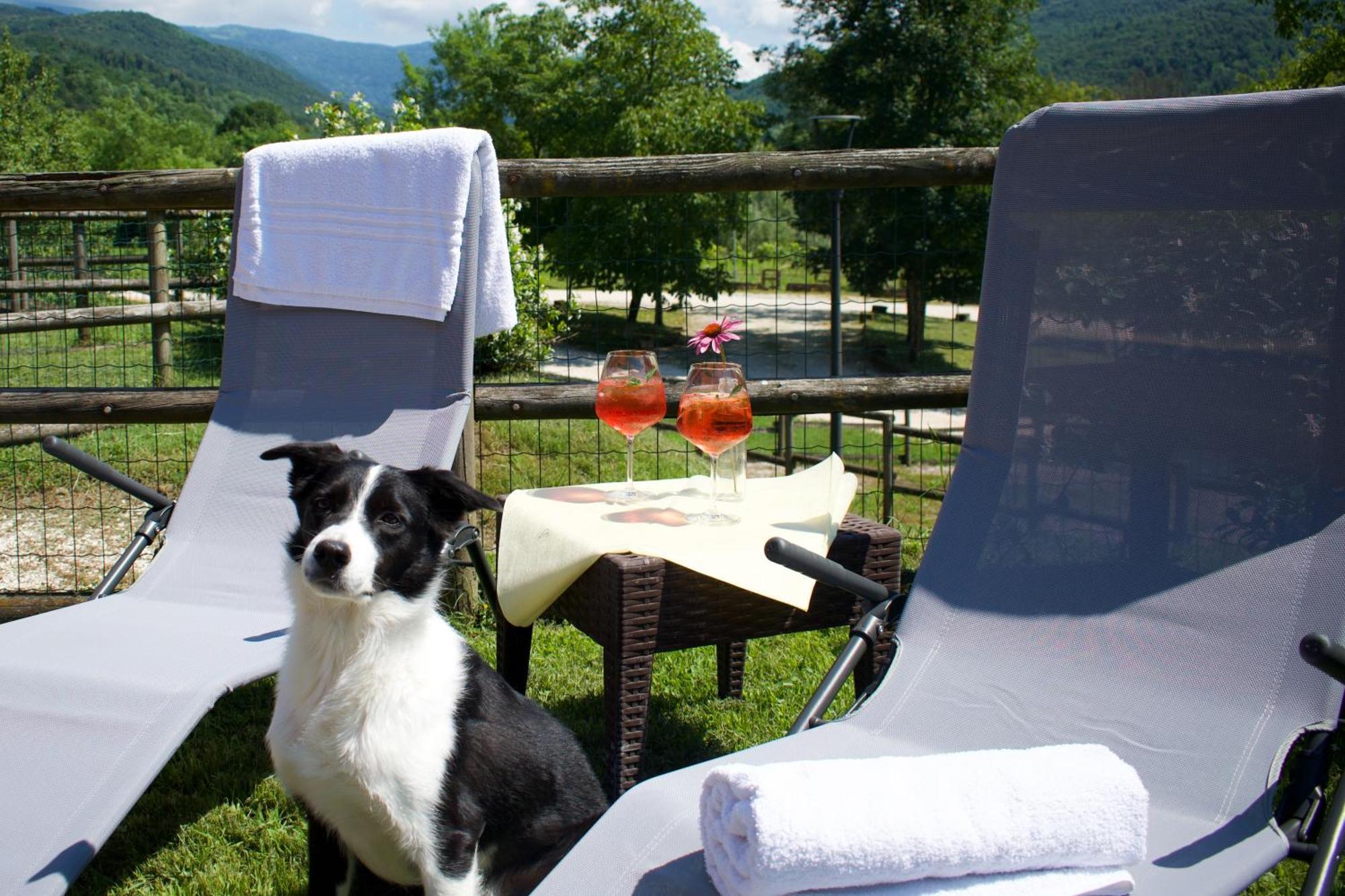 Agriturismo Monte Del Re San Pietro al Natisone Εξωτερικό φωτογραφία